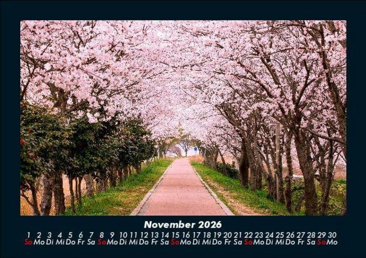 Produktbild: Natur Pur 2026 Fotokalender DIN A5