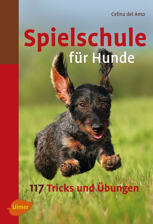 Produktbild: Spielschule f&uuml;r Hunde
