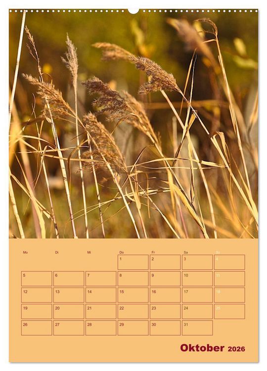 Produktbild: Wald- und Wiesenkalender 2026 Planer (hochwertiger Premium Wandkalender 2026 DIN A2 hoch), Kunstdruck in Hochglanz