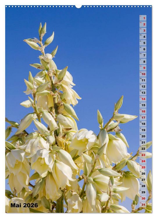 Produktbild: WHITE SANDS NATIONAL MONUMENT W&uuml;stenimpressionen (hochwertiger Premium Wandkalender 2026 DIN A2 hoch), Kunstdruck in Hochglanz