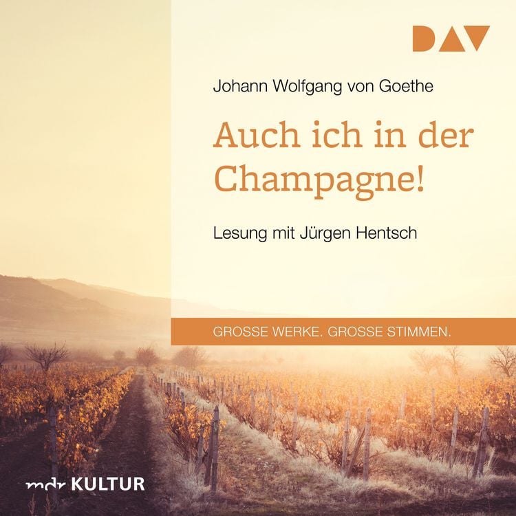 Produktbild: Auch ich in der Champagne!