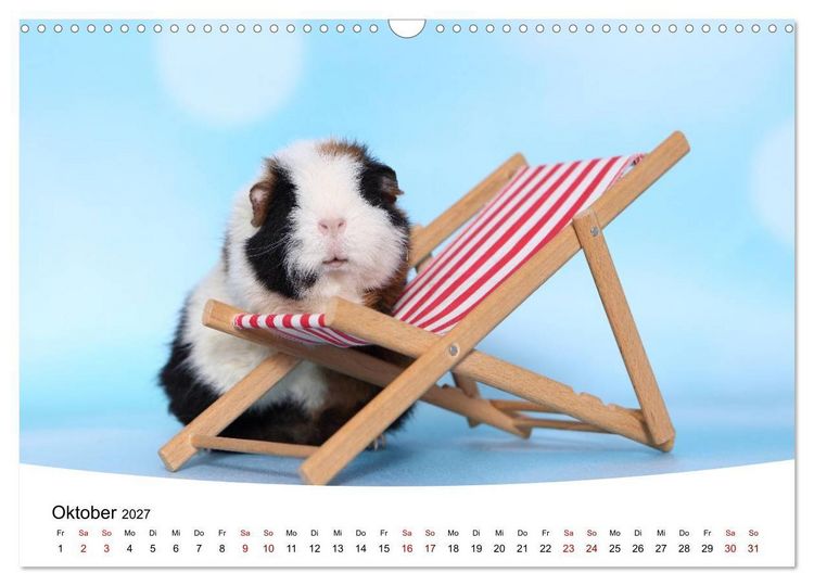 Produktbild: Niedliche Meerschweinchen (Wandkalender 2027 DIN A3 quer), CALVENDO Monatskalender