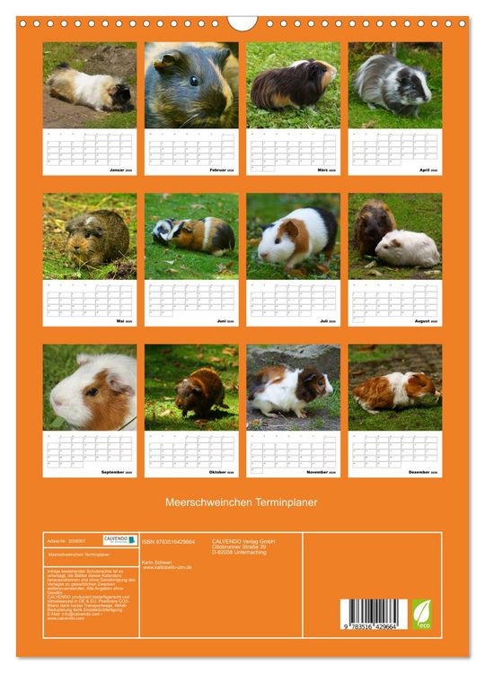 Produktbild: Meerschweinchen Terminplaner (Wandkalender 2026 DIN A3 hoch), CALVENDO Monatskalender