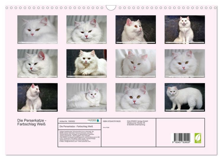 Produktbild: Die Perserkatze - Farbschlag Wei&szlig; (Wandkalender 2026 DIN A3 quer), CALVENDO Monatskalender