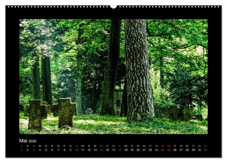 Produktbild: Heidelberg Views - Heidelberger Ansichten (Wandkalender 2026 DIN A2 quer), CALVENDO Monatskalender