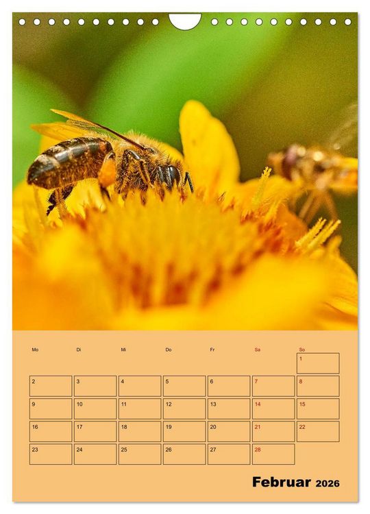 Produktbild: Die Biene und die Farbe gelb (Wandkalender 2026 DIN A4 hoch), CALVENDO Monatskalender
