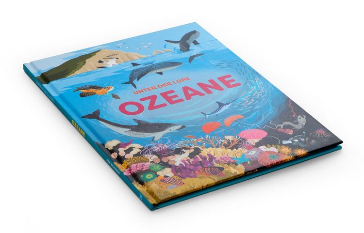 Produktbild: Unter der Lupe: Ozeane