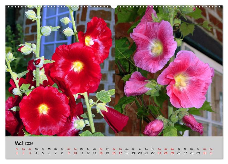 Produktbild: Blumen &uuml;berall, zur Freude Menschen (Wandkalender 2026 DIN A2 quer), CALVENDO Monatskalender