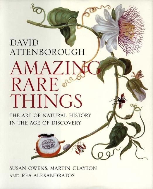 Produktbild: Amazing Rare Things