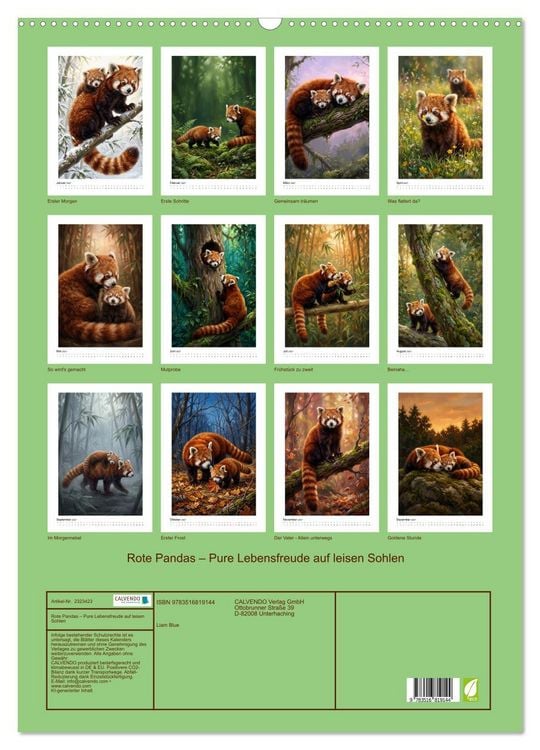 Produktbild: Rote Pandas &ndash; Pure Lebensfreude auf leisen Sohlen (Wandkalender 2027 DIN A2 hoch), CALVENDO Monatskalender