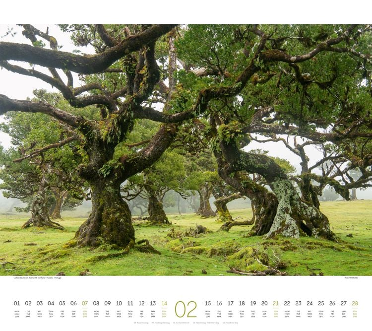 Produktbild: Wald Kalender 2027