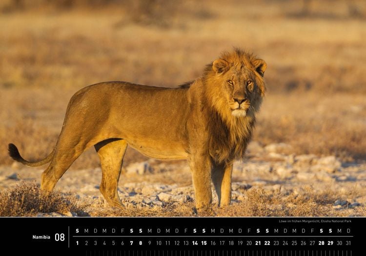 Produktbild: Namibia Premiumkalender 2027