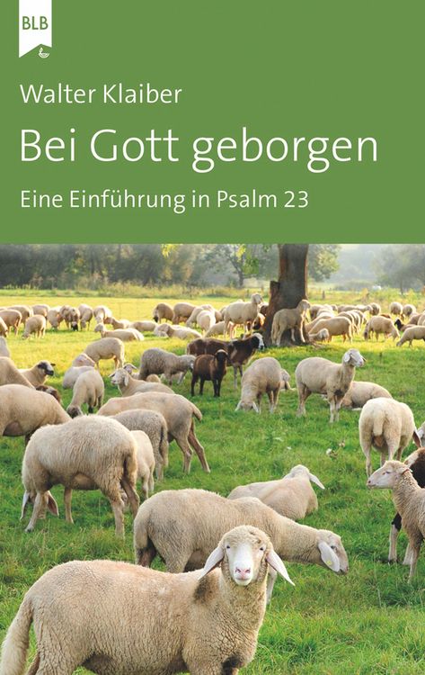 Produktbild: Bei Gott geborgen