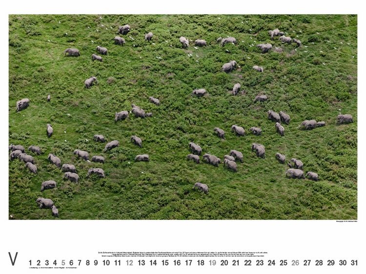 Produktbild: Kenia 2013