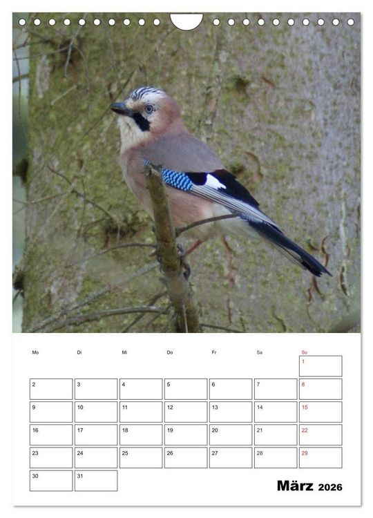 Produktbild: Rabenv&ouml;gel Terminplaner (Wandkalender 2026 DIN A4 hoch), CALVENDO Monatskalender