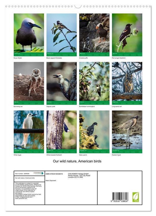 Produktbild: Our wild nature, American birds (High Quality Premium Wall Calendar 2026 DIN A2 portrait),CALVENDO 12 Month Wall Calendar