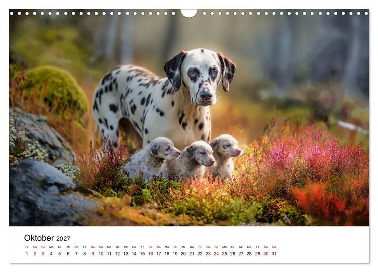 Produktbild: Dalmatiner - Mehr als nur Punkte! (Wandkalender 2027 DIN A3 quer), CALVENDO Monatskalender