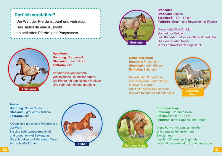 Produktbild: WAS IST WAS Erstes Lesen Band 7. Pferde und Ponys