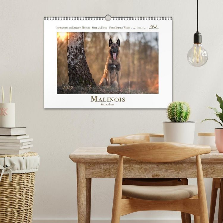 Produktbild: Malinois - Seelen aus Feuer (Wandkalender 2027 DIN A3 quer), CALVENDO Monatskalender