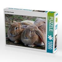 Produktbild: CALVENDO Puzzle Zwei dicke Freunde 1000 Teile Lege-Gr&ouml;&szlig;e 64 x 48 cm Foto-Puzzle Bild von Kattobello