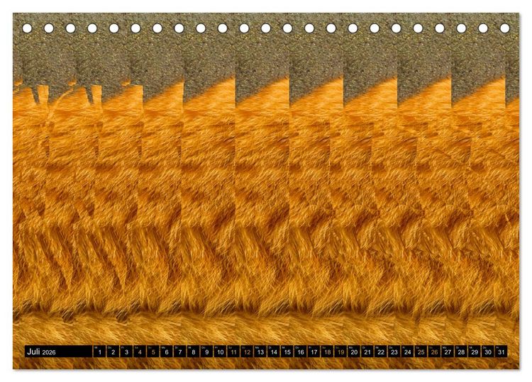 Produktbild: Magische Bilder - 3D Stereogramme (Tischkalender 2026 DIN A5 quer), CALVENDO Monatskalender