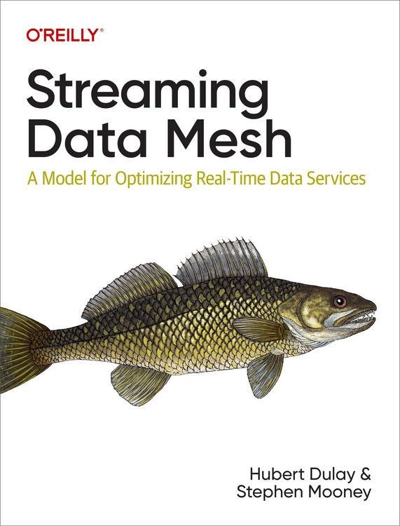 Produktbild: Streaming Data Mesh