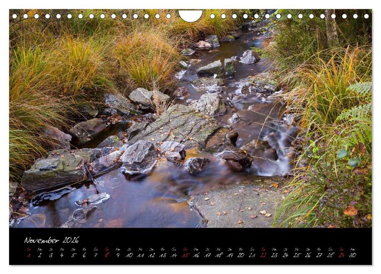 Produktbild: Hochmoor Hohes Venn (Wandkalender 2026 DIN A4 quer), CALVENDO Monatskalender