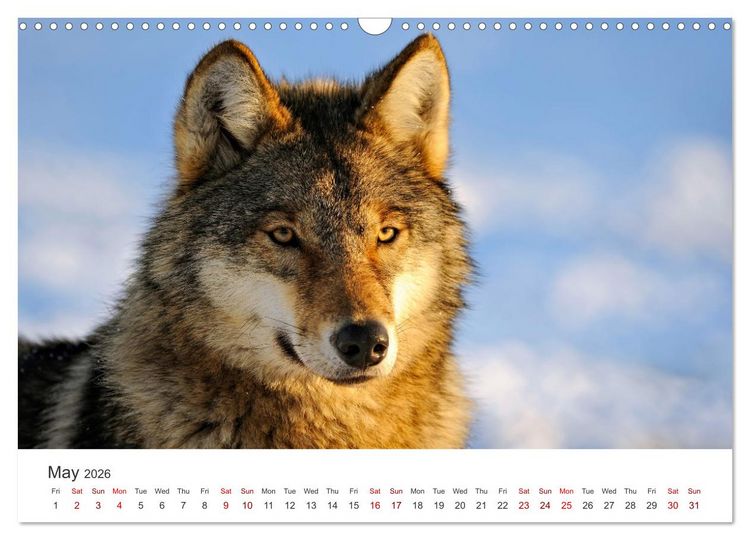 Produktbild: Wild Canada (Wall Calendar 2026 DIN A3 landscape), CALVENDO 12 Month Wall Calendar