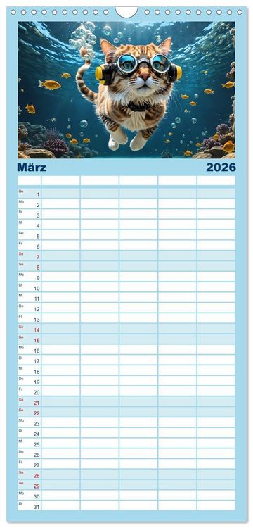 Produktbild: Familienplaner 2026 - Katzen unter Wasser mit 5 Spalten (Wandkalender, 21 x 45 cm) CALVENDO