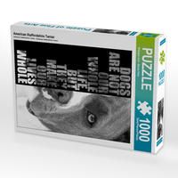 Produktbild: CALVENDO Puzzle American Staffordshire Terrier 1000 Teile Lege-Gr&ouml;&szlig;e 48 x 64 cm Foto-Puzzle Bild von Wilsigns.com - Nicole Hahn