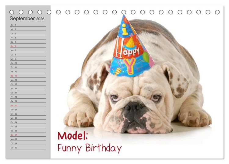 Produktbild: English Bulldog XXL Models (Tischkalender 2026 DIN A5 quer), CALVENDO Monatskalender