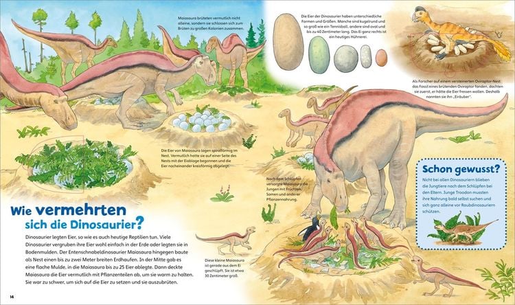 Dinosaurier / Was ist was junior Bd. 3