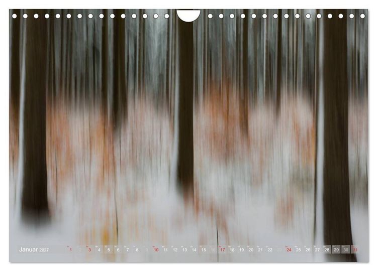 Produktbild: Atelier Wald - gemalt mit Licht (Wandkalender 2027 DIN A4 quer), CALVENDO Monatskalender