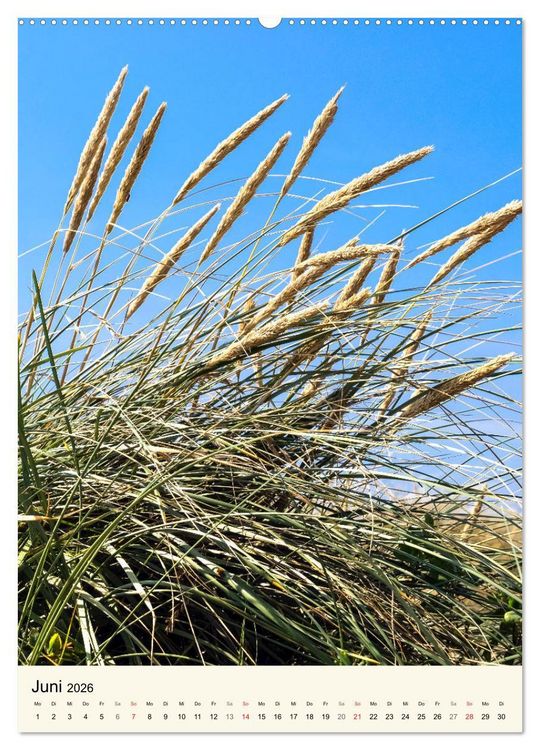Produktbild: LANGEOOG Strandspaziergang (Wandkalender 2026 DIN A2 hoch), CALVENDO Monatskalender