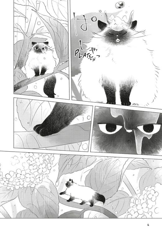 Produktbild: Fairy Cat 1