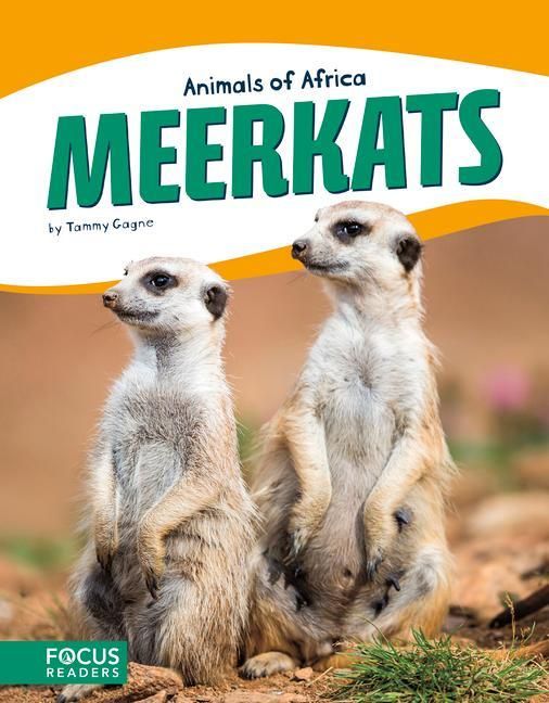 Produktbild: Meerkats