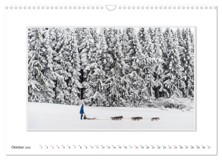 Produktbild: Emotionale Momente: The Art of Huskys. / CH-Version (Wandkalender 2026 DIN A3 quer), CALVENDO Monatskalender