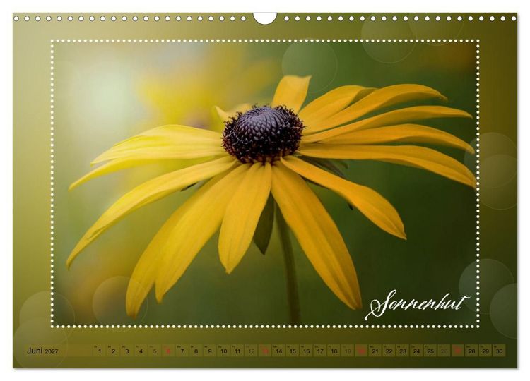 Produktbild: Bl&uuml;tenbouquet (Wandkalender 2027 DIN A3 quer), CALVENDO Monatskalender