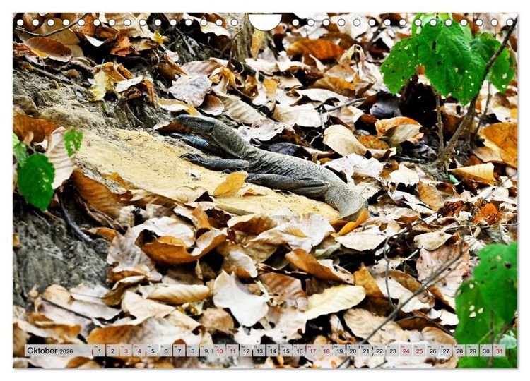 Produktbild: Uttarakhand &ndash; Land der G&ouml;tter (Wandkalender 2026 DIN A4 quer), CALVENDO Monatskalender