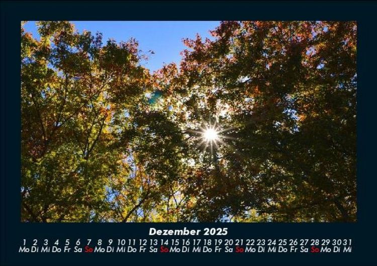 Produktbild: Landschaftskalender 2025 Fotokalender DIN A5