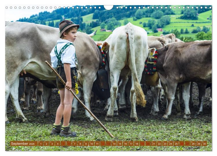 Produktbild: Allg&auml;uer Sch&ouml;nheiten Allg&auml;u - Land der K&uuml;he (Wandkalender 2026 DIN A3 quer), CALVENDO Monatskalender