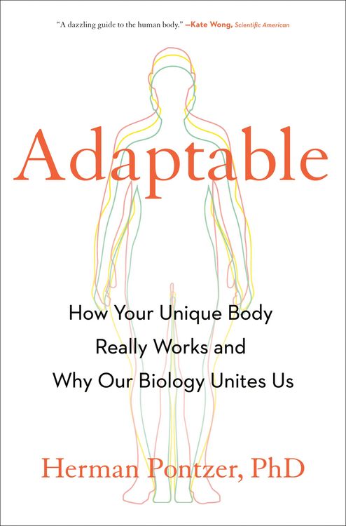Produktbild: Adaptable