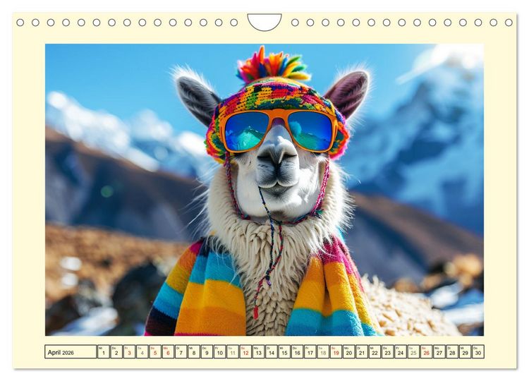 Produktbild: Lamas auf Tour. Perus flauschige Fashion-Ikonen (Wandkalender 2026 DIN A4 quer), CALVENDO Monatskalender