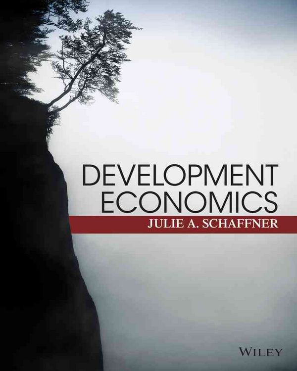 Produktbild: Development Economics