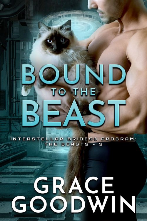 Produktbild: Bound to the Beast