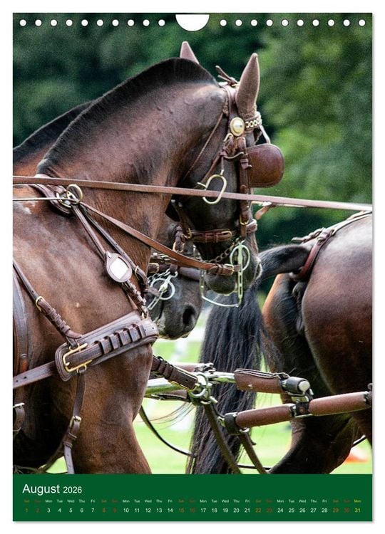 Produktbild: Carriage Driving - Horses in Action (Wall Calendar 2026 DIN A4 portrait), CALVENDO 12 Month Wall Calendar