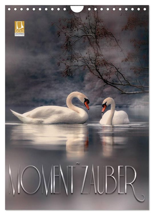 Produktbild: Moment Zauber (Wandkalender 2026 DIN A4 hoch), CALVENDO Monatskalender