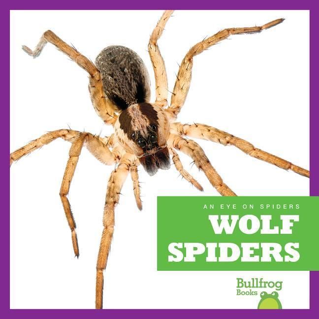 Produktbild: Wolf Spiders