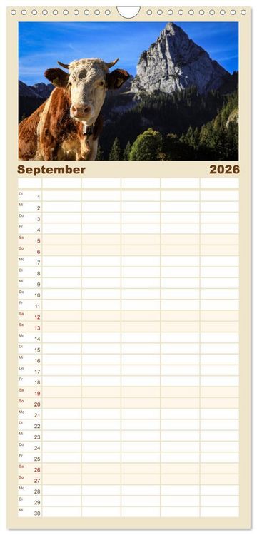 Produktbild: Familienplaner 2026 - Ostallg&auml;u - Zwischen Aggenstein und Forggensee mit 5 Spalten (Wandkalender, 21 x 45 cm) CALVENDO