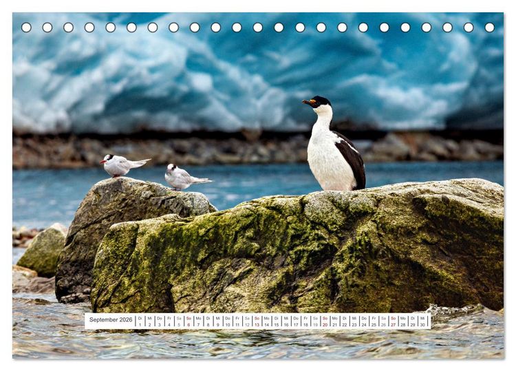 Produktbild: Expedition Antarktis (Tischkalender 2026 DIN A5 quer), CALVENDO Monatskalender